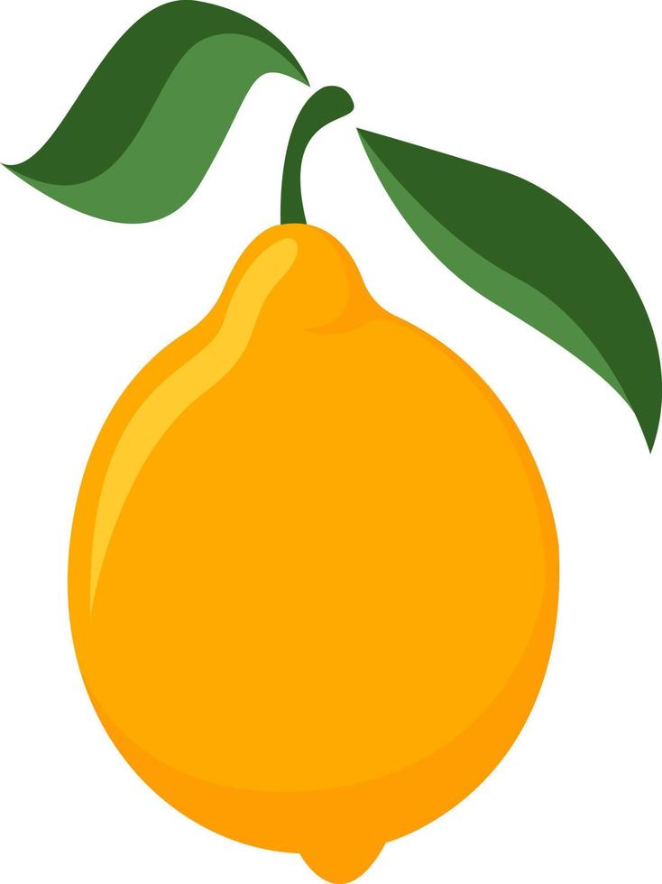 Lemon, illustration, vector on white background.
