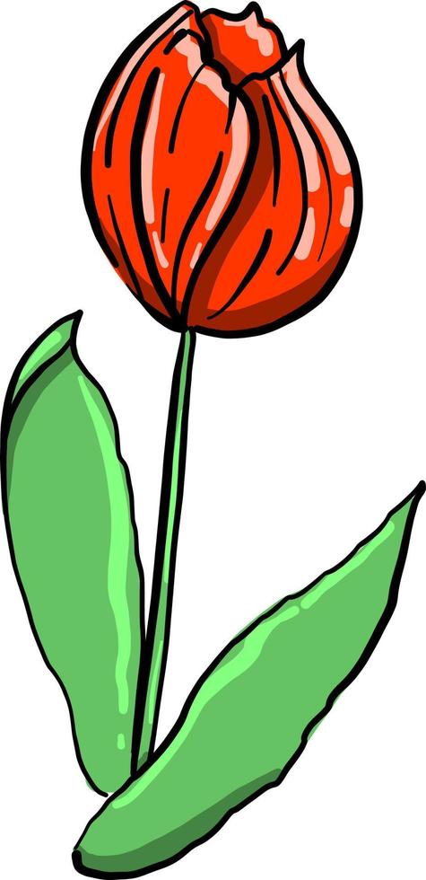 Red flower, illustration, vector on white background