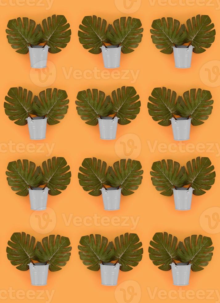 Tropical palm monstera leaves lies in a pastel pails on a colored background. Flat lay trendy minimal pattern. Top view photo