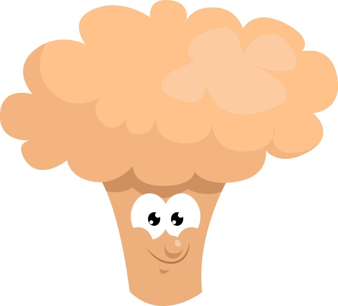 Small cauliflower, illustration, vector on white background.