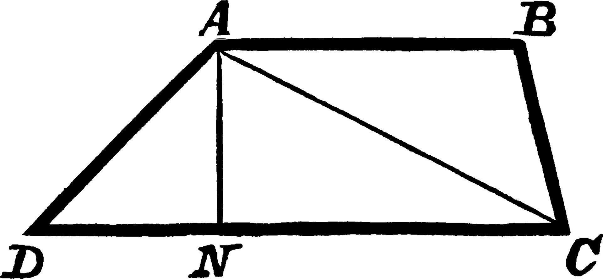 Area of Quadrilaterals, vintage illustration vector