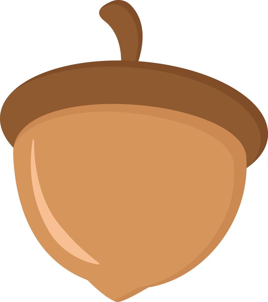 Hazelnut, illustration, vector on white background.