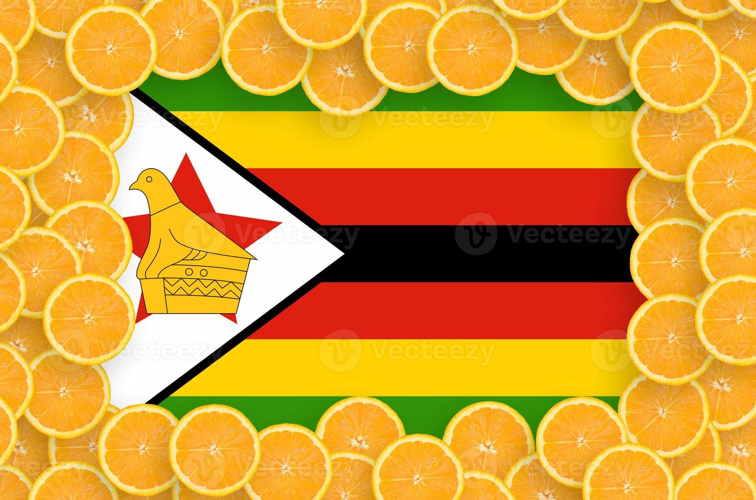 Zimbabwe flag in fresh citrus fruit slices frame photo