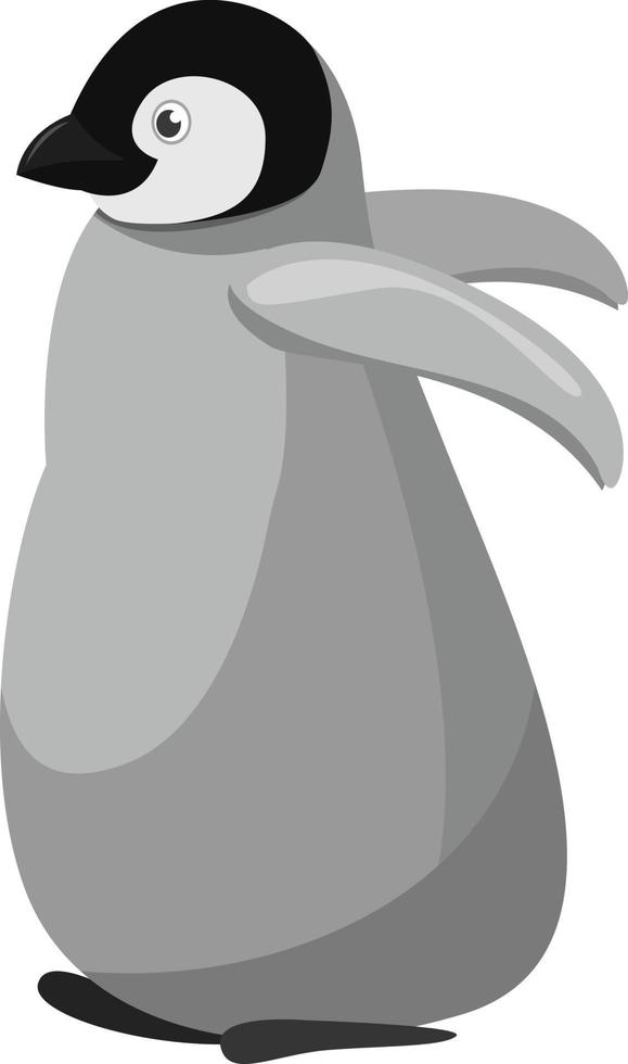 Baby penguin, illustration, vector on white background