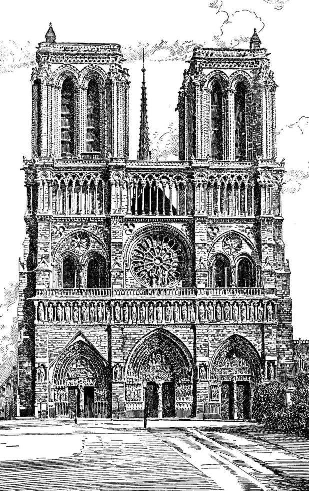 Notre Dame, vintage illustration. vector