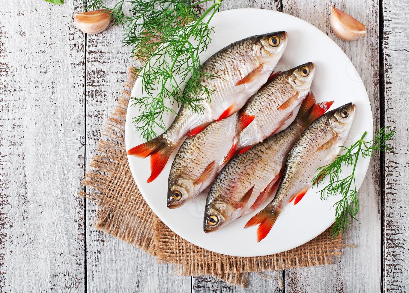 preparado para freír cucarachas de pescado en el fondo de madera. foto