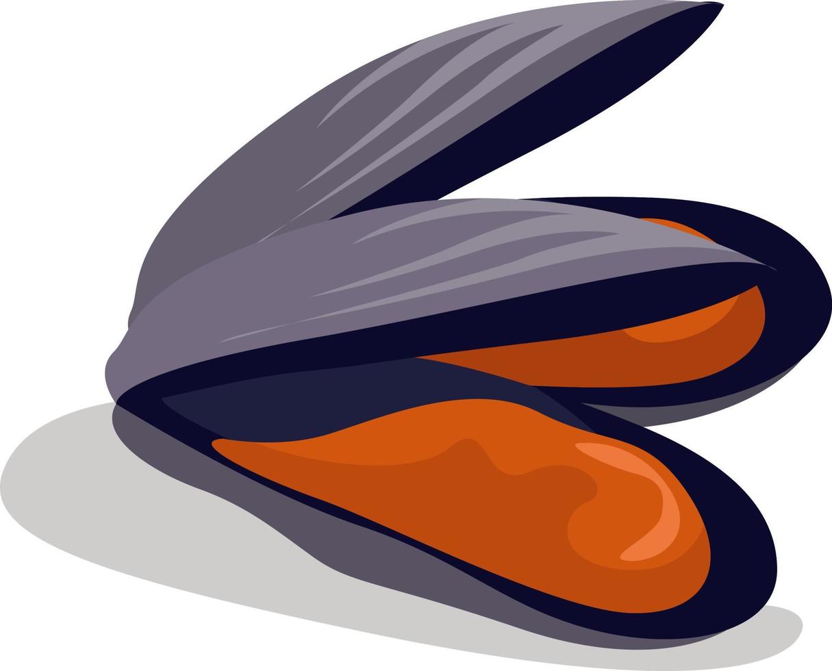 Purple mussel, illustration, vector on white background