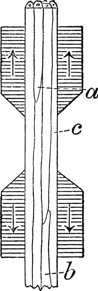 Behavior of Fibers in Tension Test vintage illustration. vector