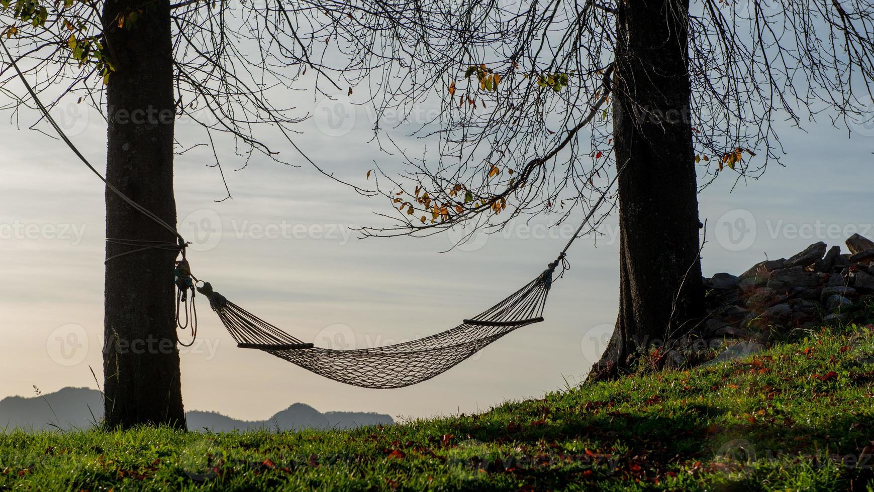 Hammock suspended between two trees photo