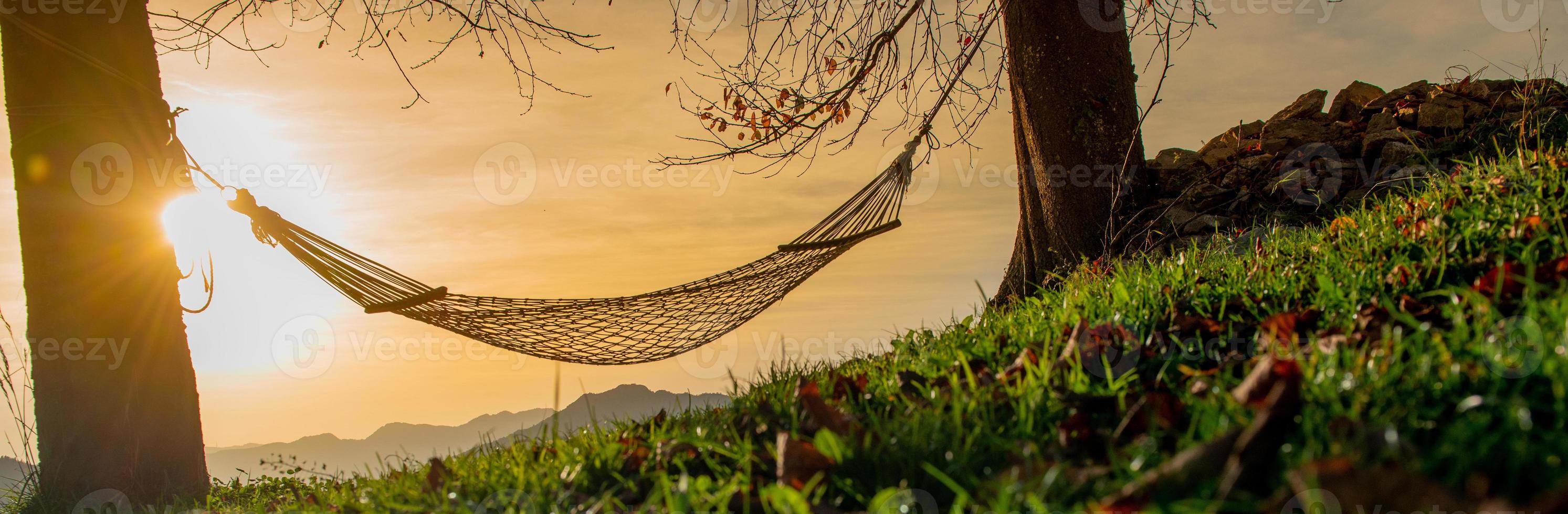 Hammock suspended between two trees photo