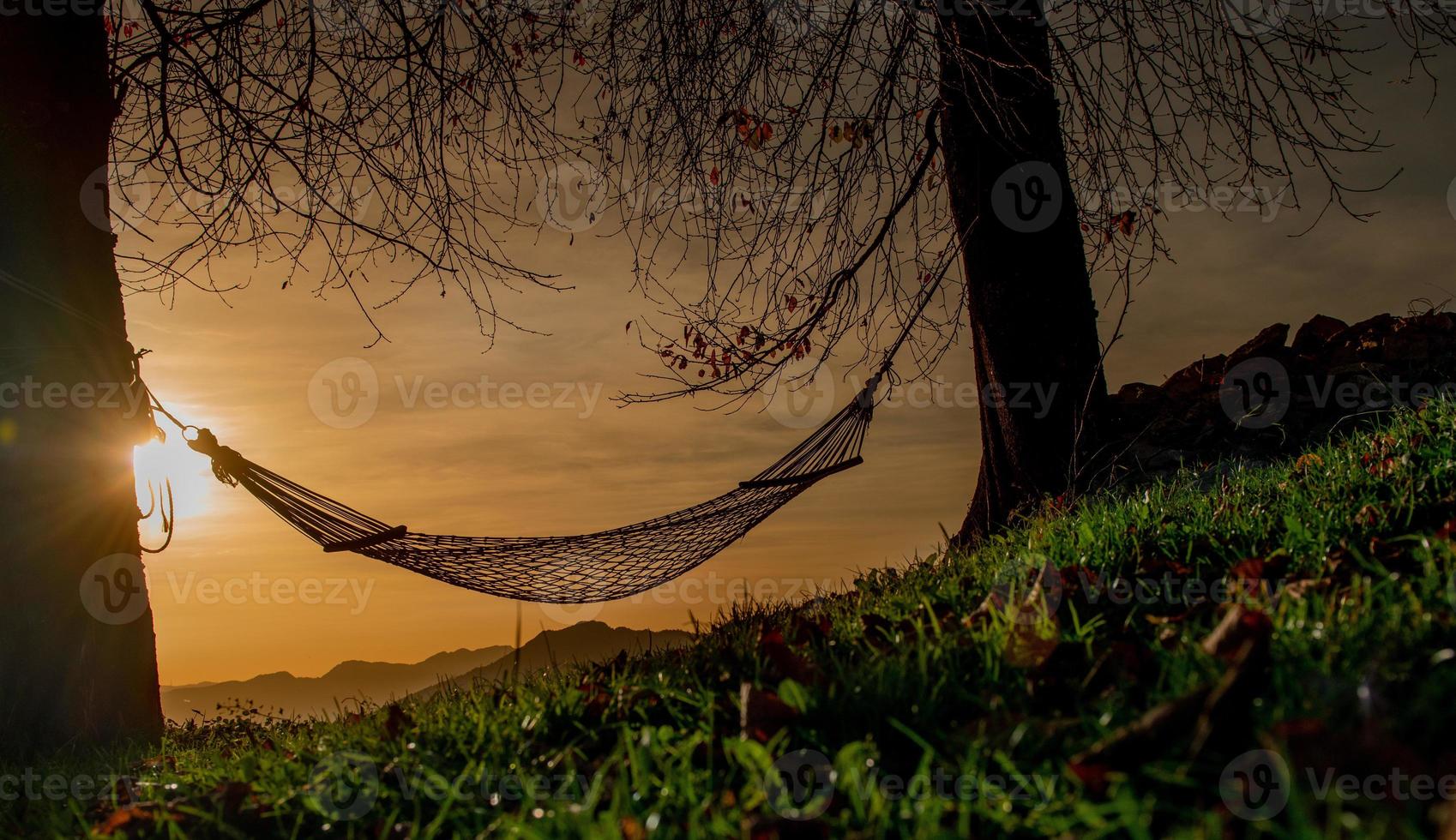 Hammock suspended between two trees photo