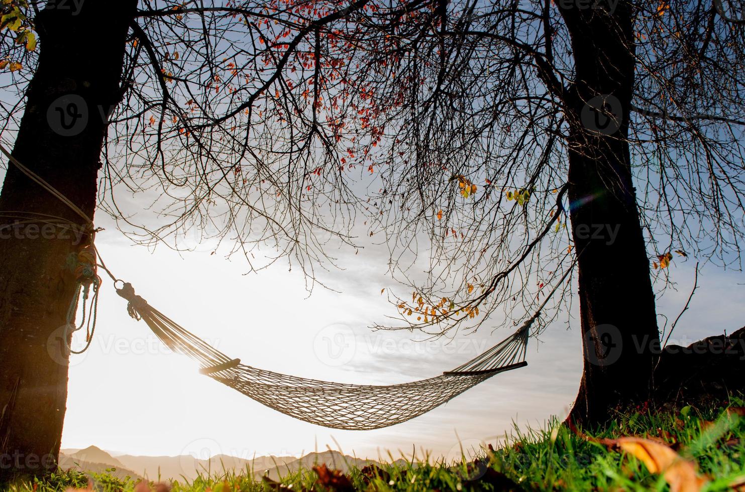 Hammock suspended between two trees photo