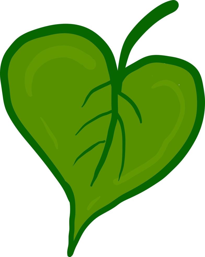 Green heart leaf, illustration, vector on white background.