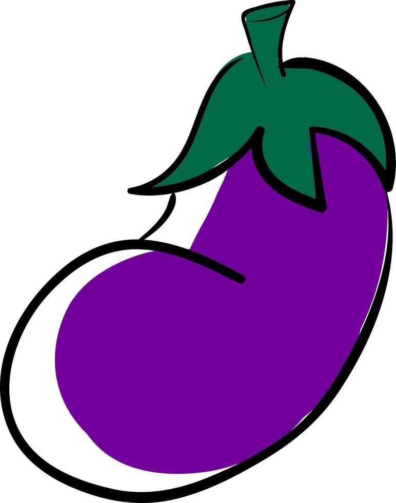 Eggplant drawing, illustration, vector on white background.