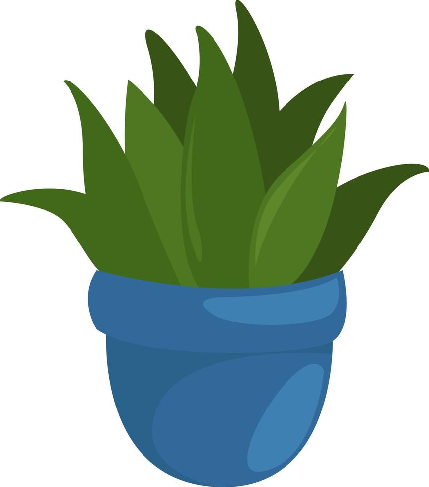 planta en una olla azul, ilustración, vector sobre fondo blanco.
