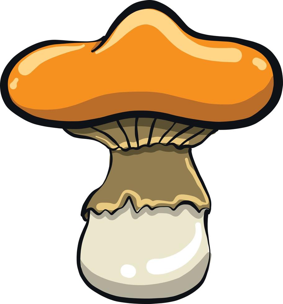 Unusual orange mushroom, illustration, vector on a white background.