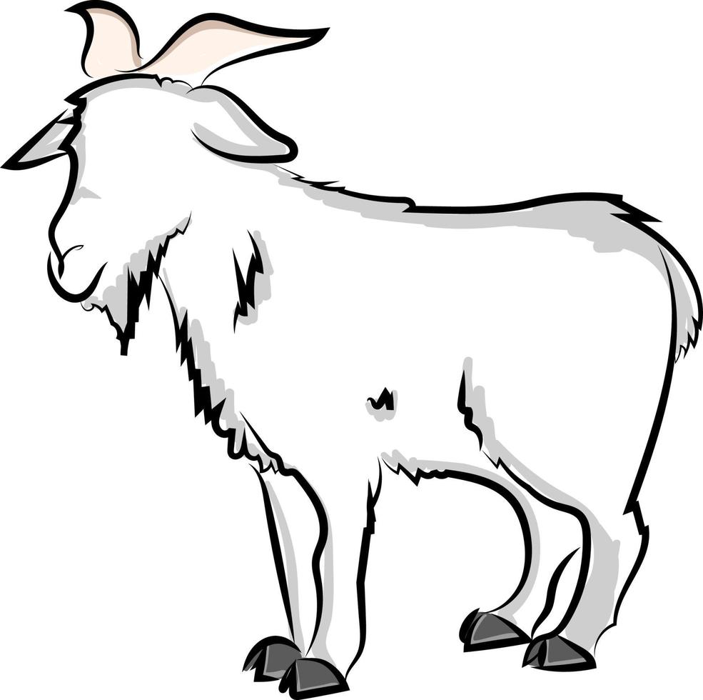 Goat drawing, illustration, vector on white background.