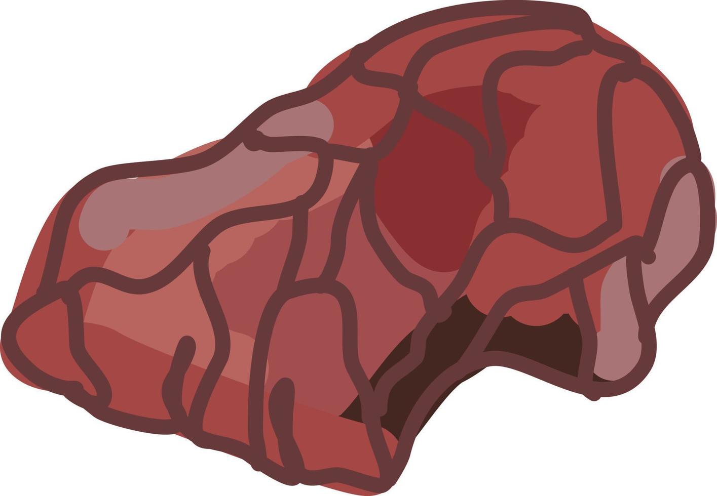 Bone chuck roast, illustration, vector on white background.