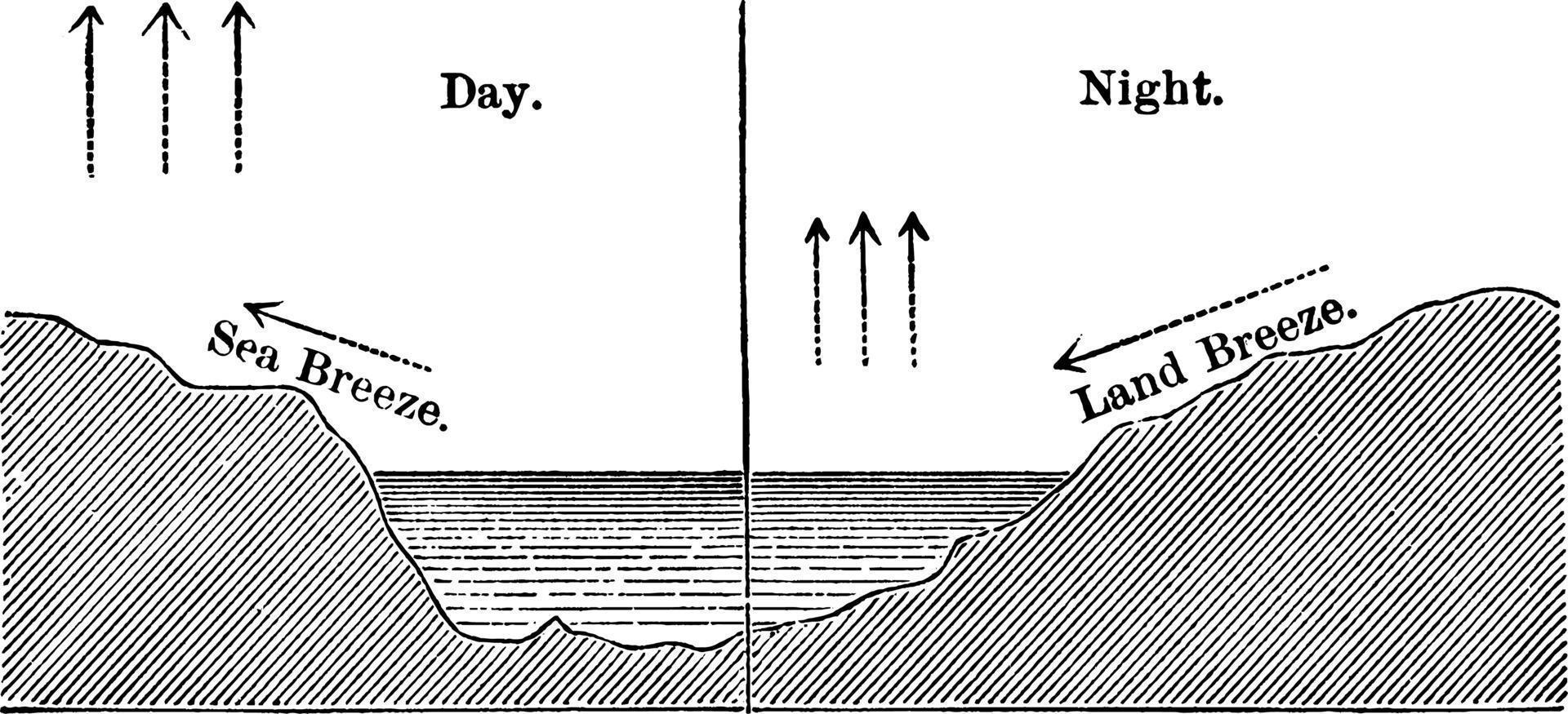 brisas terrestres y marinas, ilustración antigua. vector