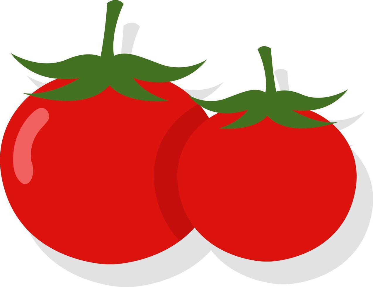 dos tomates rojos, ilustración, vector sobre un fondo blanco