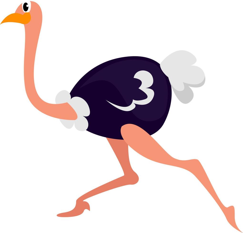 Running ostrich, illustration, vector on white background.