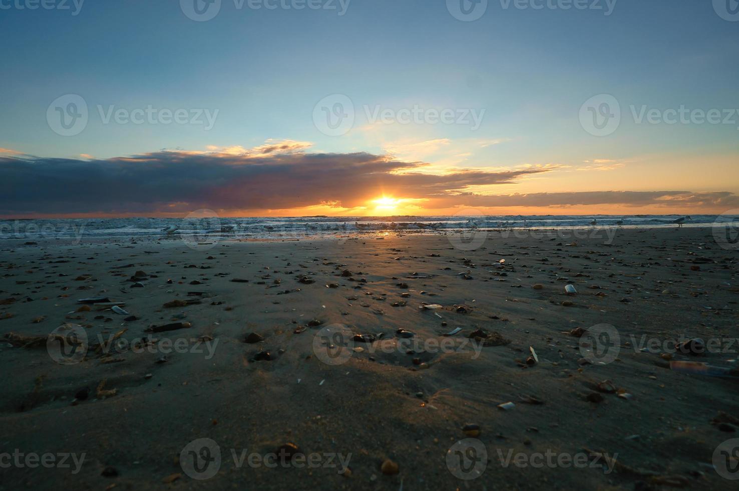 Sunset on the beach in Denmark. Shells in the foreground. Walk on the coast photo