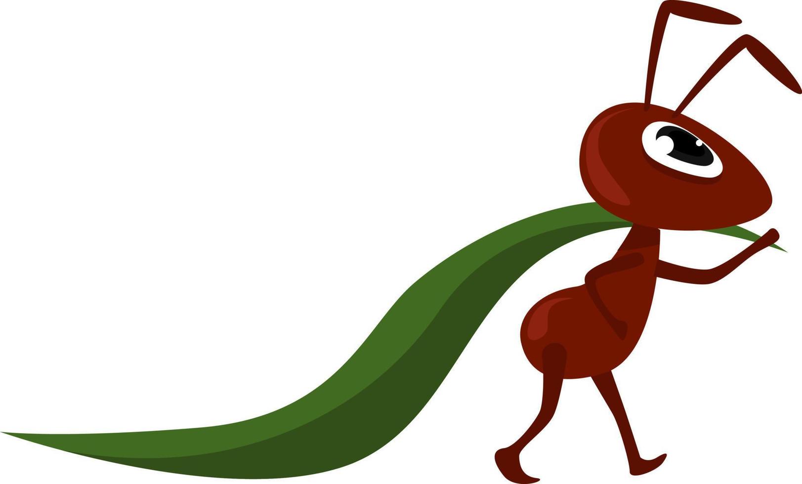 hormiga con hoja verde, ilustración, vector sobre fondo blanco
