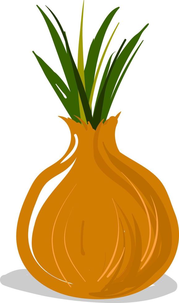 cebolla plana, ilustración, vector sobre fondo blanco.