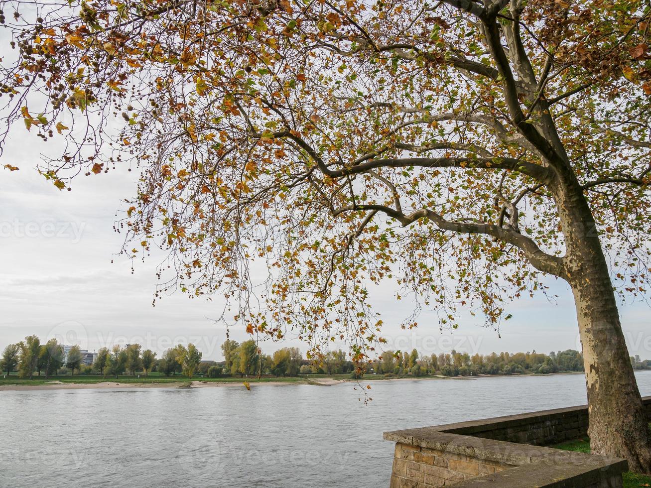 dusseldorf y el río rin foto