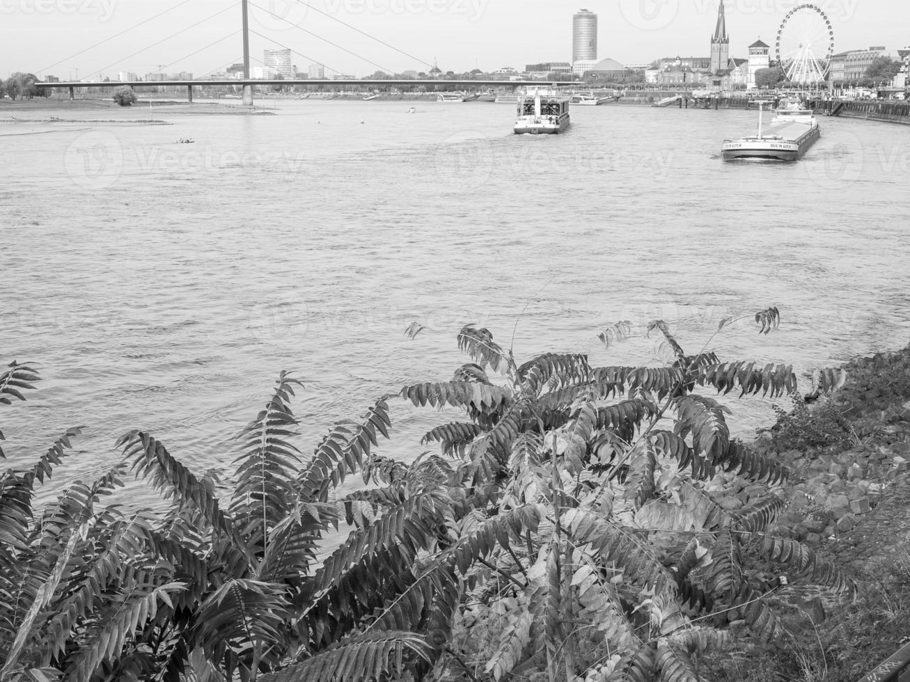 the city of dusseldorf at the rhine river photo