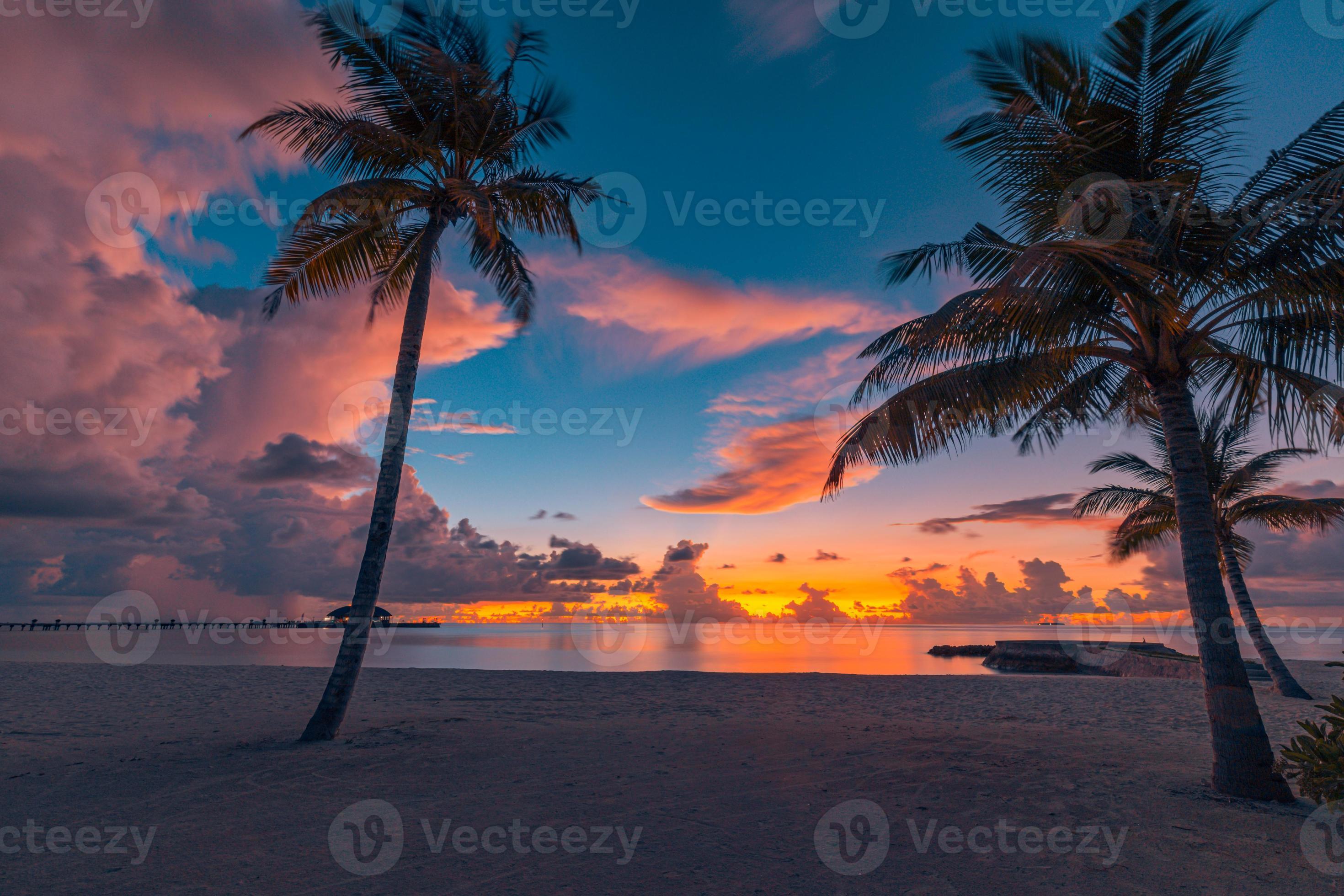 Beautiful panoramic sunset tropical paradise beach. Tranquil summer ...