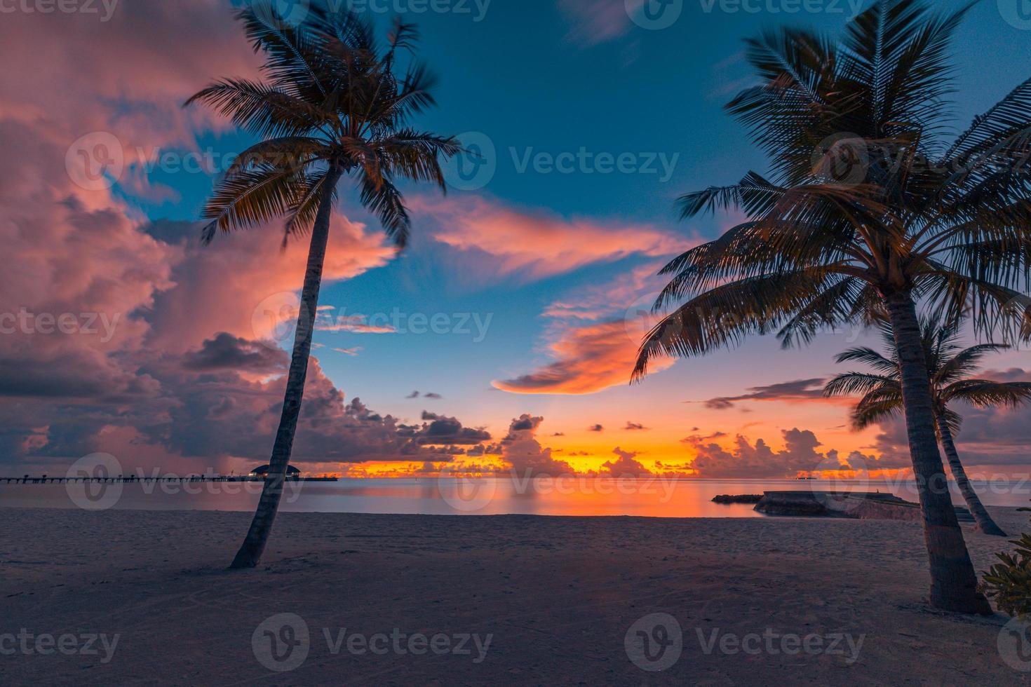 Beautiful panoramic sunset tropical paradise beach. Tranquil summer vacation or holiday landscape. Tropical sunset beach seaside palm calm sea panorama exotic nature view inspirational seascape scenic photo