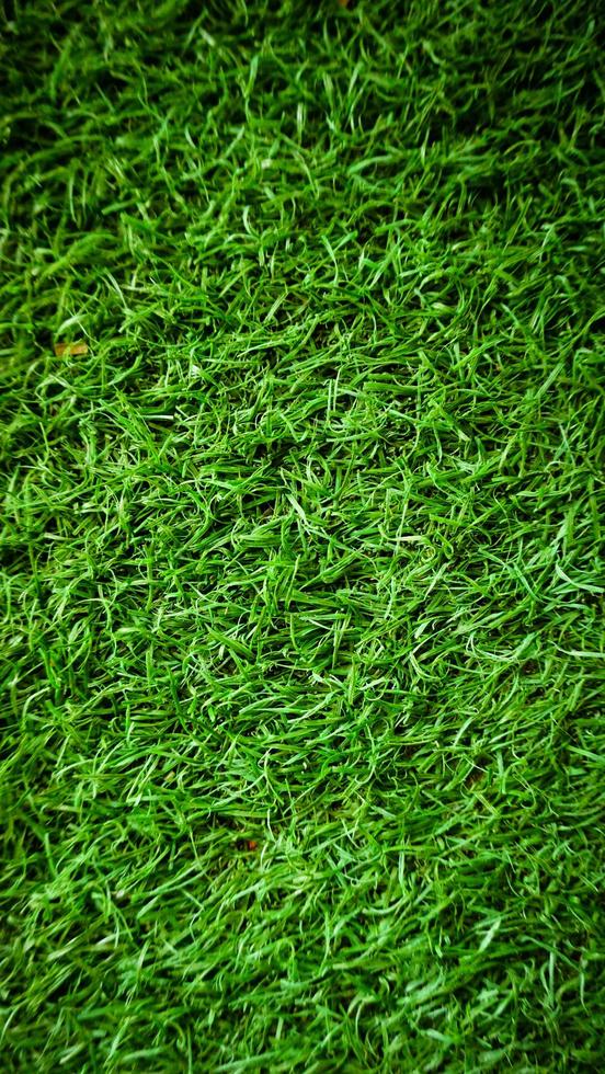 vertical photo of green grass background with blur overlay