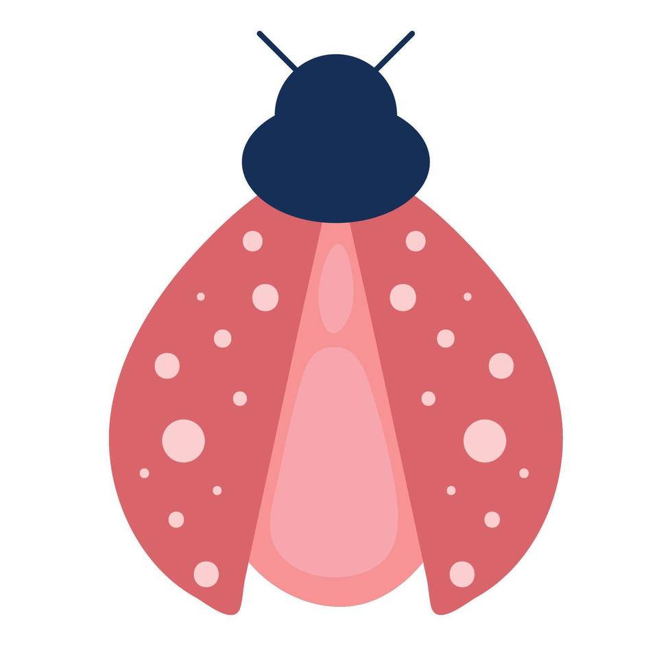 ladybird bug icon vector