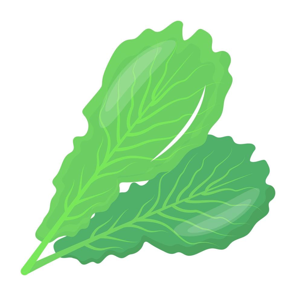 Icon of spinach leaves flat design vector