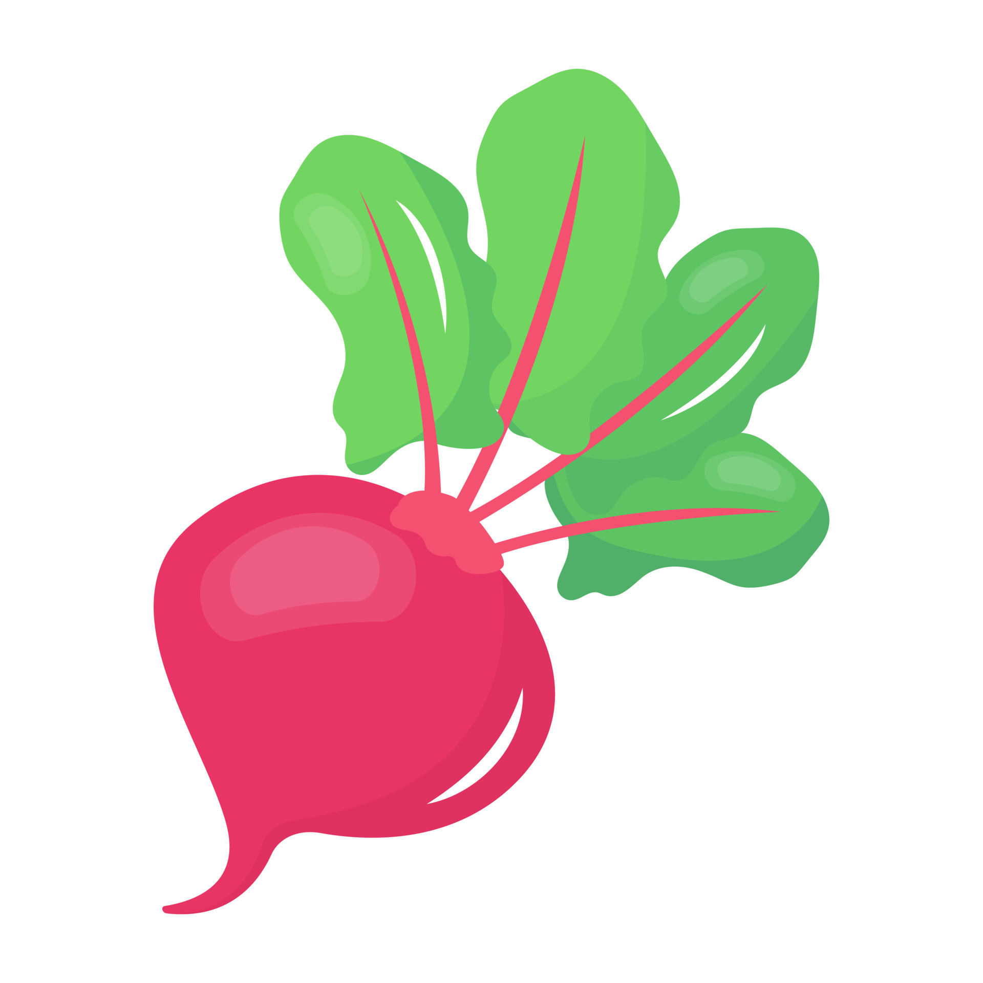 A turnip icon in flat editable design 13809310 Vector Art at Vecteezy