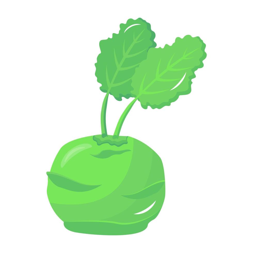 A green radish flat vector download
