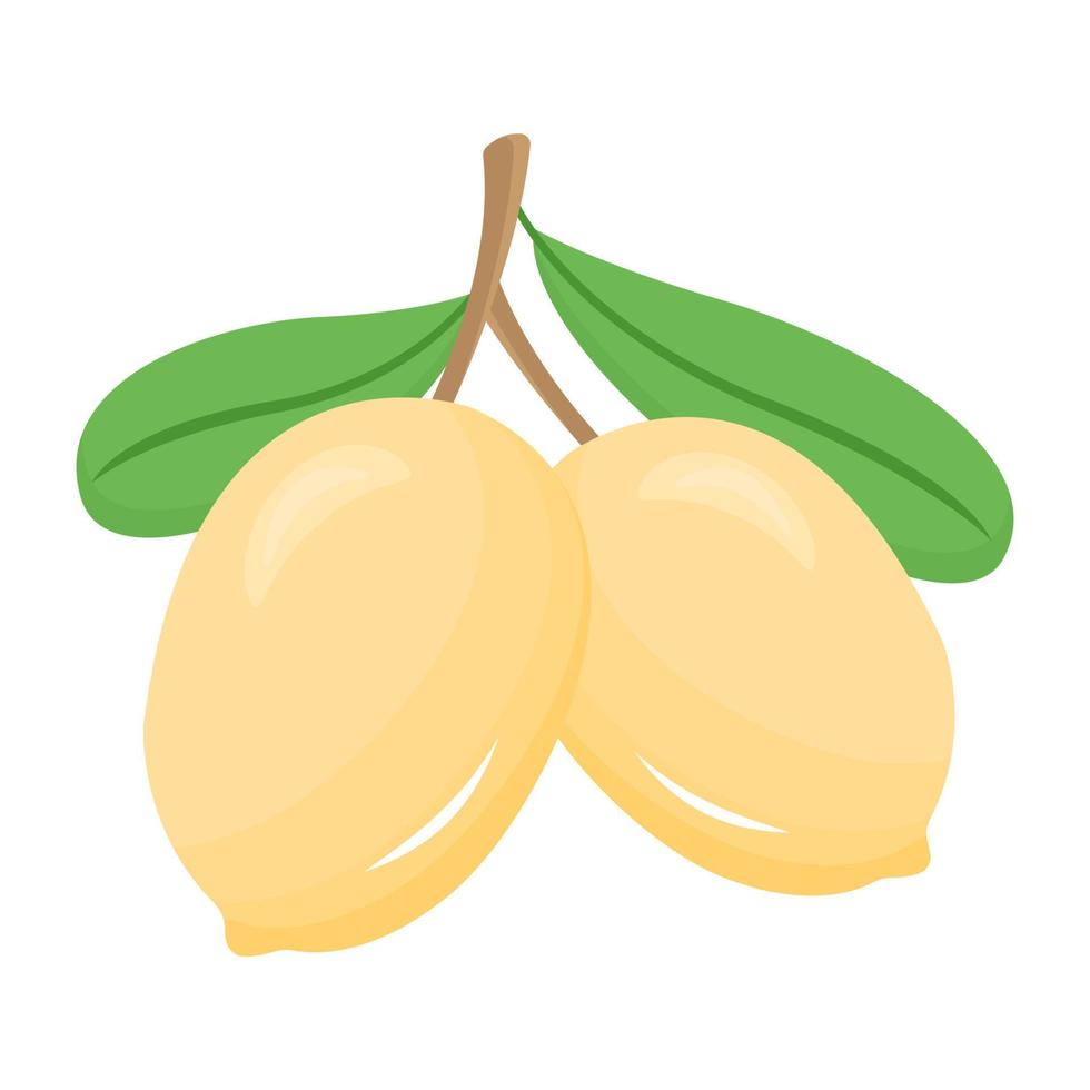 Pair of lime fruit, flat icon vector