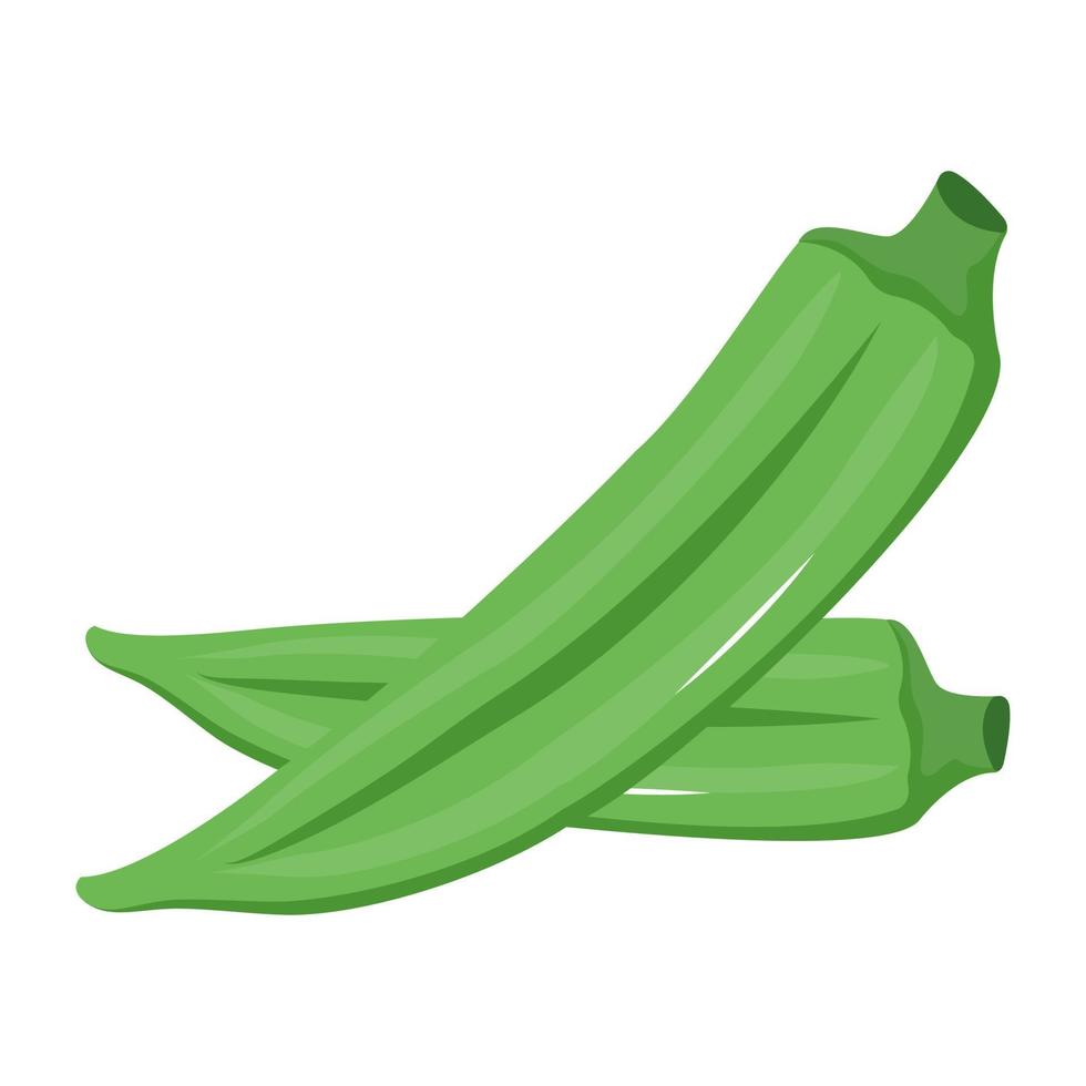 Ladyfinger icon vector, green vegetable vector