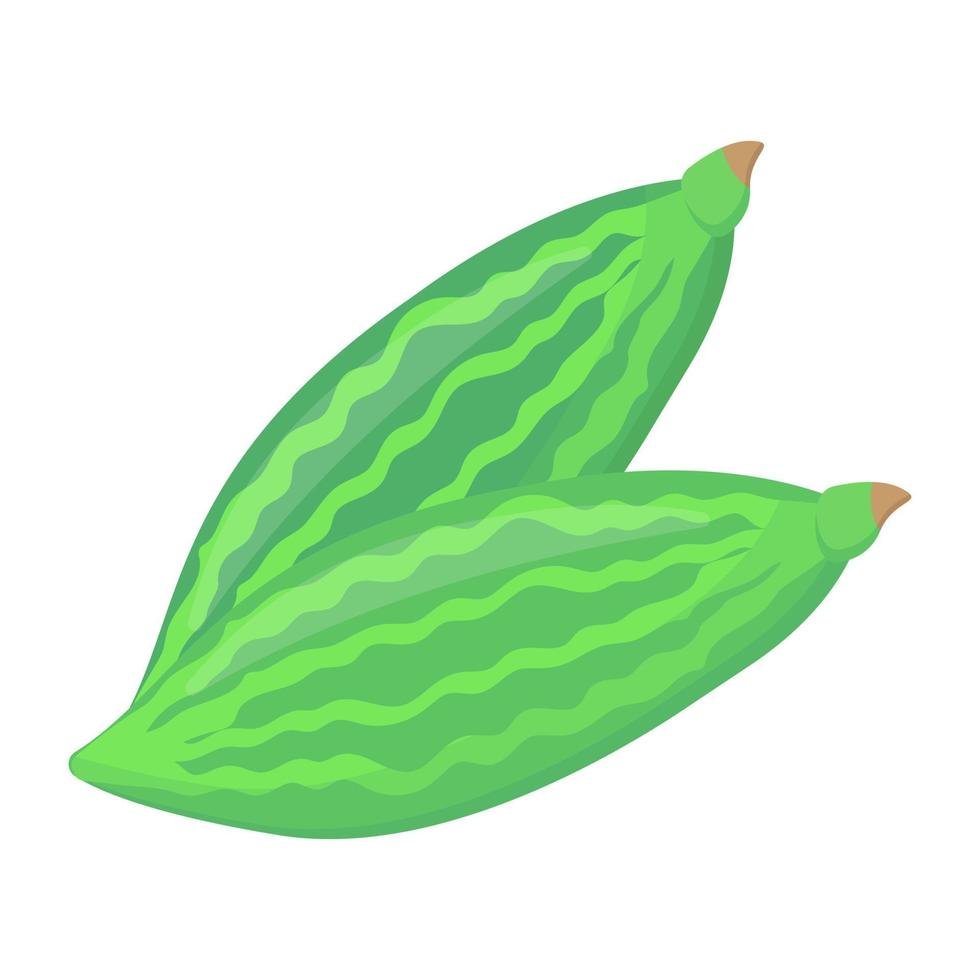 Trendy flat vector of bitter gourds