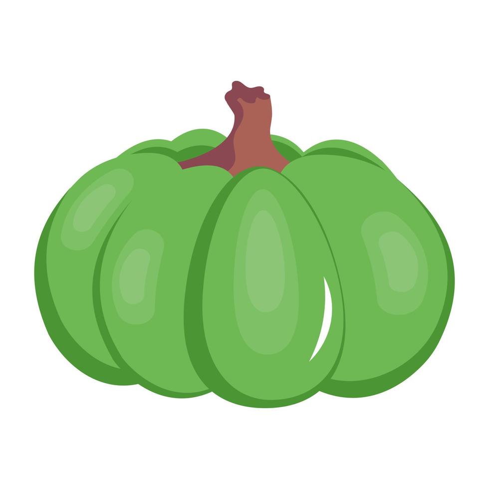 A pumpkin fruit icon in flat vector