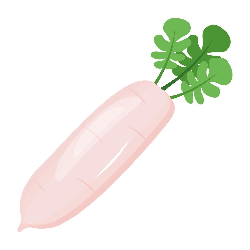 A flat vector of a white radish icon