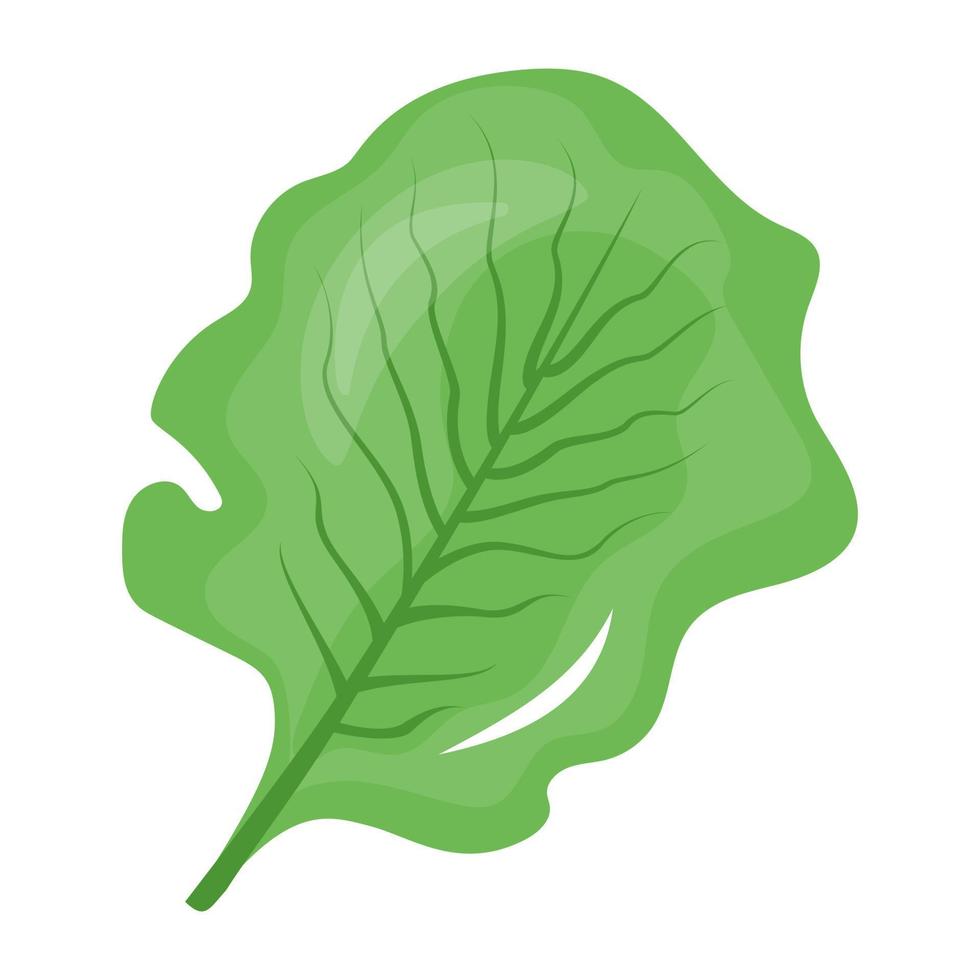 icono de diseño plano de hojas de espinaca vector