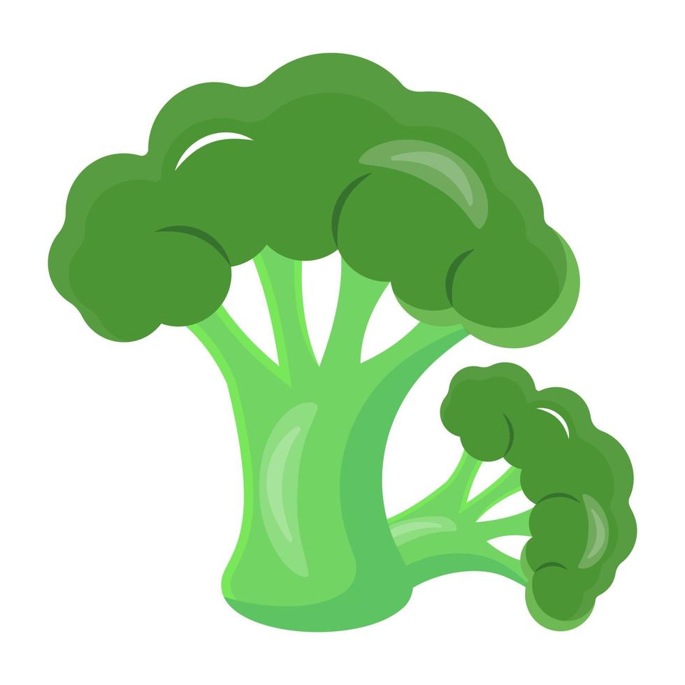 vegetal rico en hierro, icono de brócoli vector