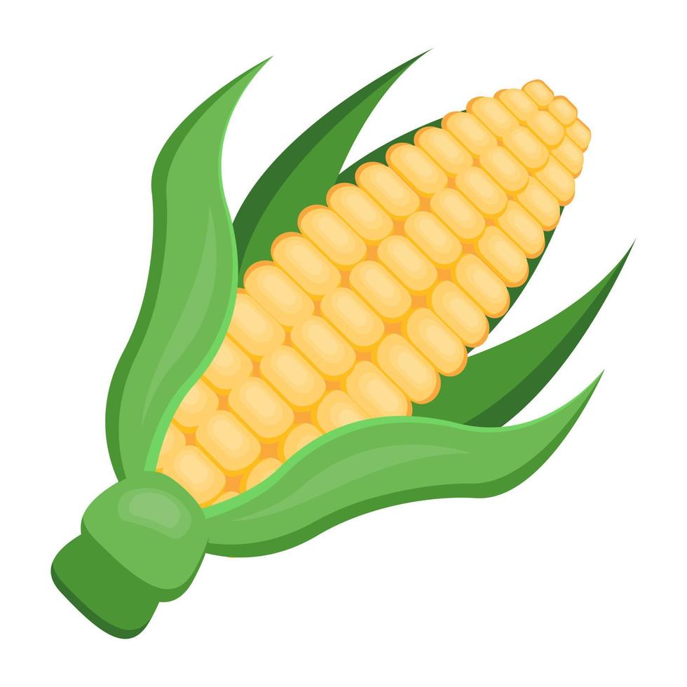 Corn on a cob, flat icon vector