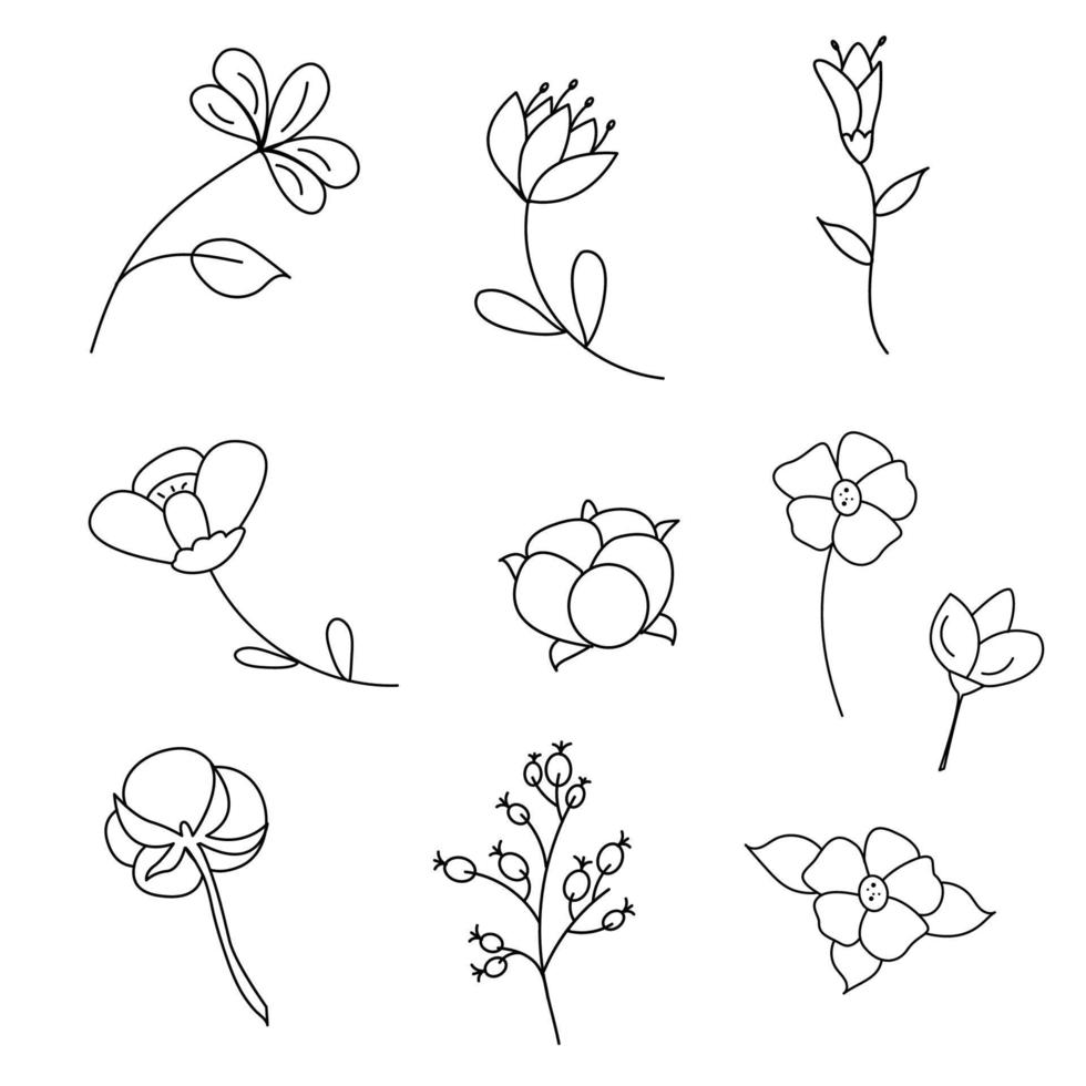 Floral hand drawn collection for divider and frame ornament. Hand drawing flowers outline vector