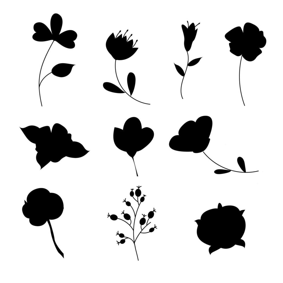 Flower collection hand drawn silhouette. Hand drawing of flowers vector