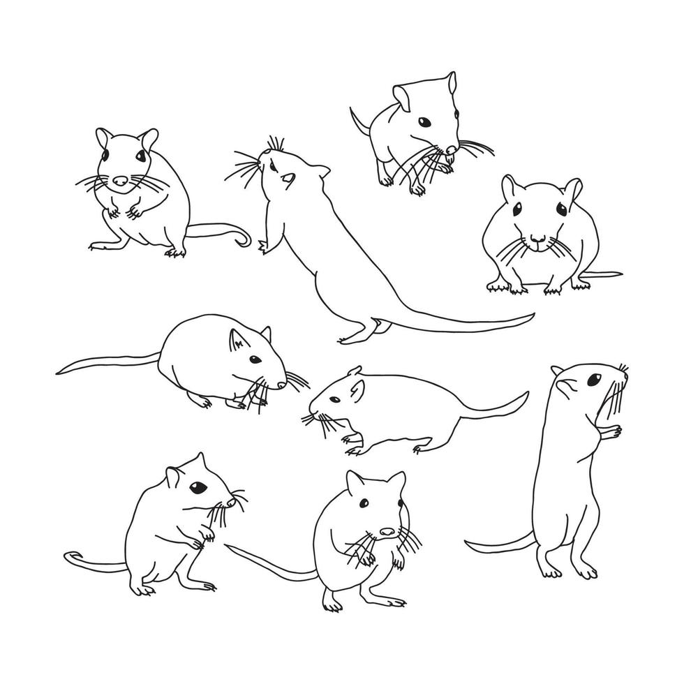 Black and White Gerbil Doodles vector