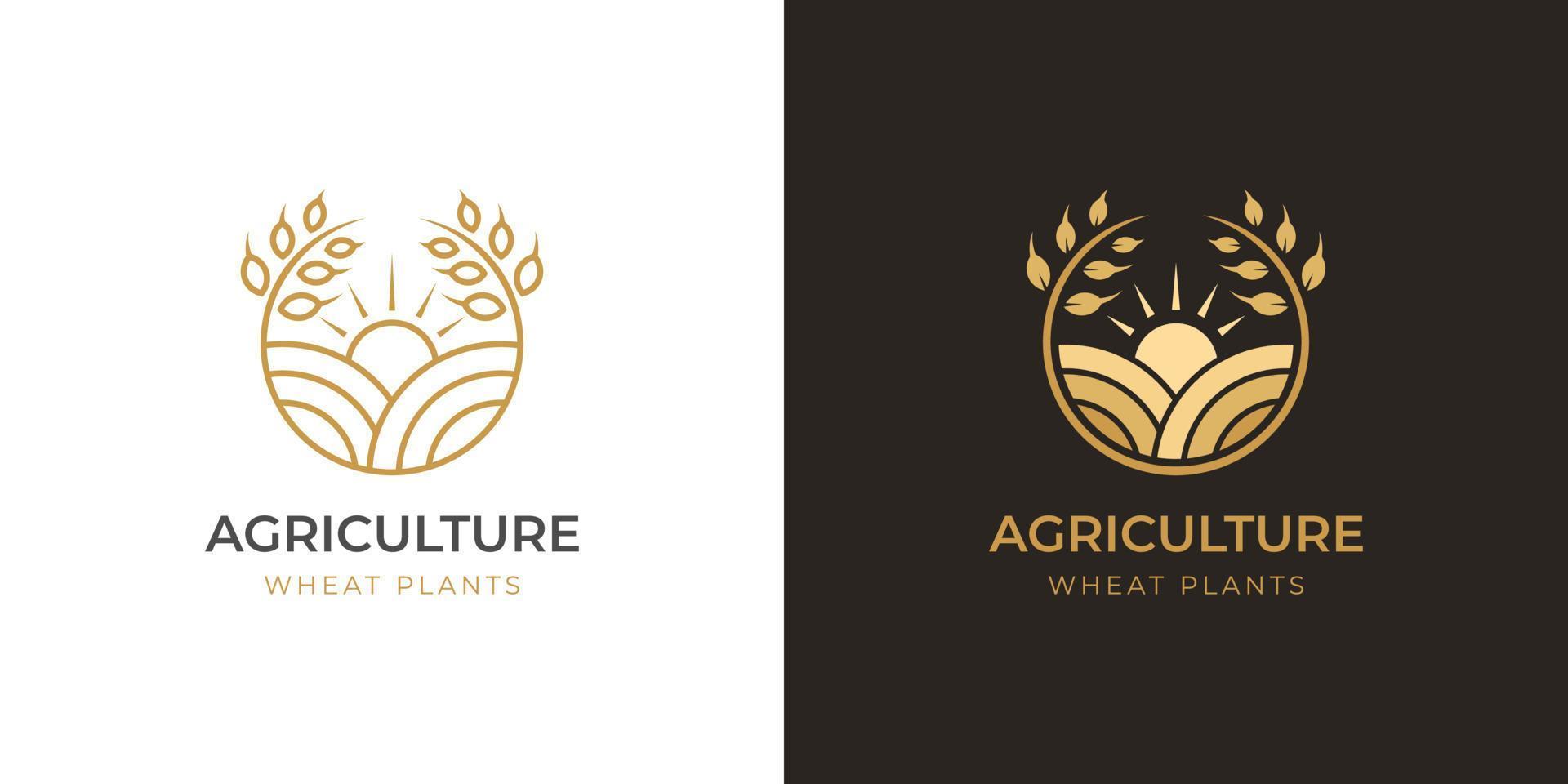 Agriculture farm logo design with circle gold wheat logo symbol design, rice farming logo template two versions vector