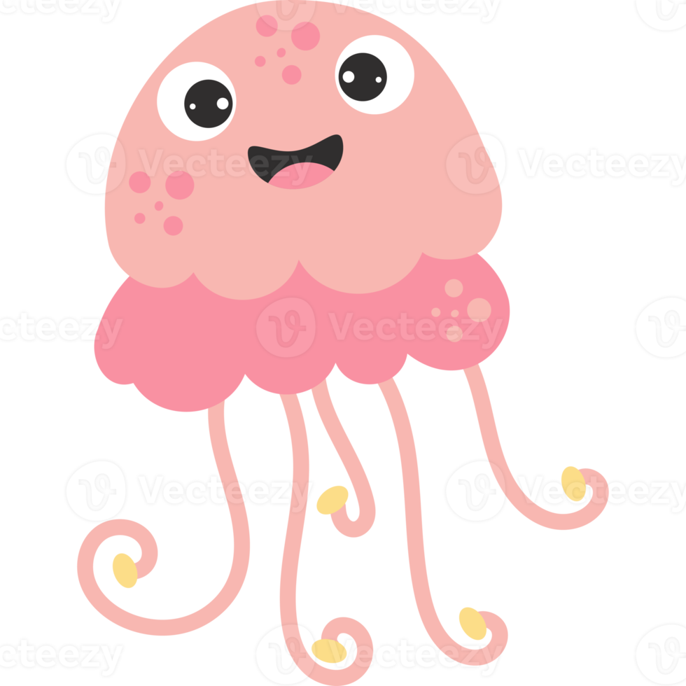 Sea animal. beautiful jellyfish png